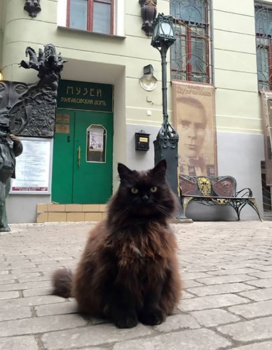 Những chú mèo nổi tiếng “làm việc” cho các viện bảo tàng ở Nga - Ảnh 2.