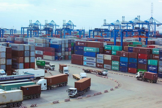 Doanh nghiệp nhựa kêu có thể phá sản do container phế liệu nằm cảng - Ảnh 1.