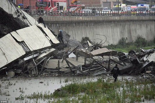 Sập cầu trên đường cao tốc, hơn 20 người thiệt mạng - Ảnh 7.