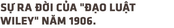 Hơn 100 năm trước, người Mỹ giải quyết vấn nạn thực phẩm bẩn, giả và ngâm hóa chất thế nào? - Ảnh 11.