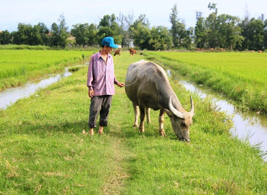 Chấm dứt việc thu phí lạ ở Quảng Bình và trả lại tiền cho dân - Ảnh 1.