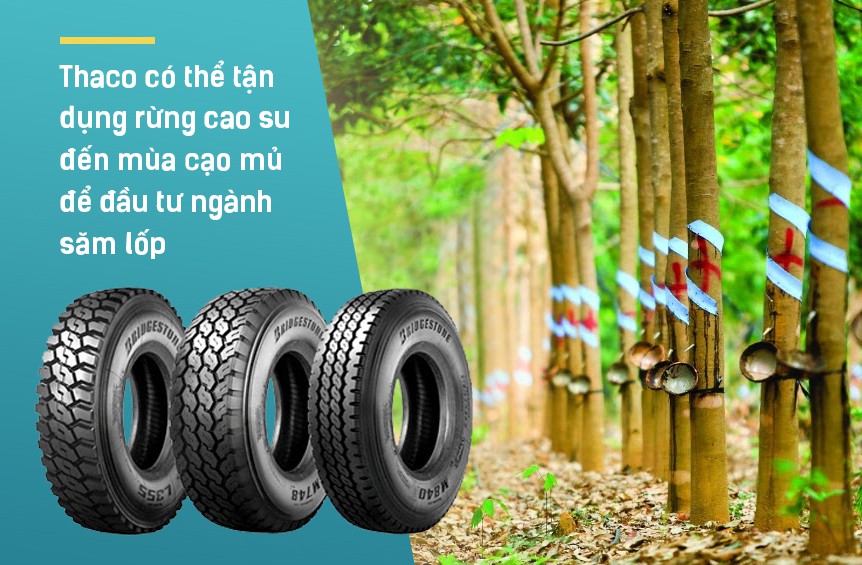 Đầu tư và tái cơ cấu nợ cả tỷ USD vào HAGL, Thaco muốn gì? - Ảnh 2. Đầu tư và tái cơ cấu nợ cả tỷ USD vào HAGL, Thaco muốn gì? - Ảnh 2.