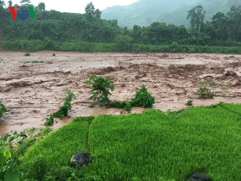 Sơn La, Điện Biên vật lộn khắc phục sau mưa lũ - Ảnh 15.