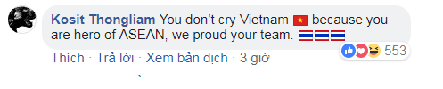 Đừng khóc Việt Nam, các bạn là niềm tự hào của Đông Nam Á - Ảnh 1.
