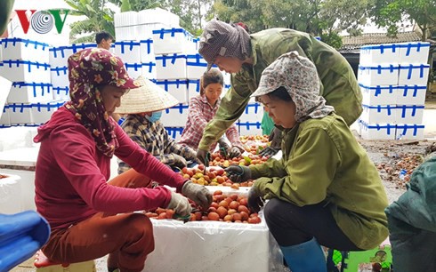 Đất đai nhỏ lẻ là nút thắt lớn nhất cản dòng đầu tư vào nông nghiệp - Ảnh 2.