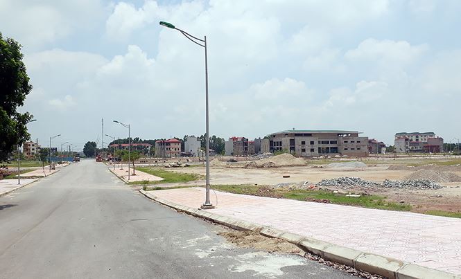 Thêm dự án khủng được giao đất không qua đấu giá - Ảnh 2. Thêm dự án khủng được giao đất không qua đấu giá - Ảnh 2.