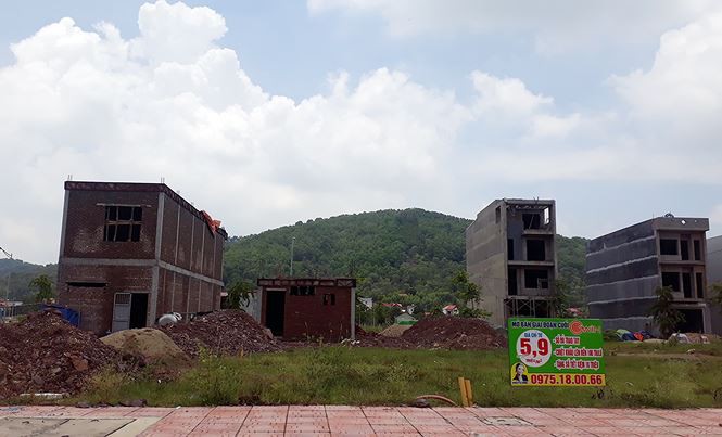 Thêm Dự Án BĐS khủng được giao đất không qua đấu giá - Ảnh 3. Thêm dự án Bất Động Sản khủng được giao đất không qua đấu giá - Ảnh 3.
