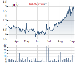 Cổ phiếu tăng mạnh, XNK Quảng Bình tiếp tục muốn thoái bớt vốn tại DAP Vinachem (DDV) - Ảnh 1.