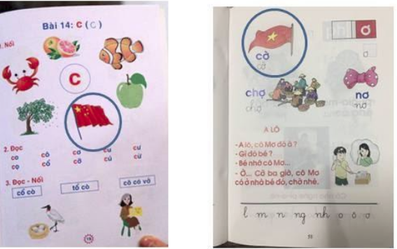  Sách tiếng Việt cho trẻ lớp 1 có nhiều vấn đề sai lệch, phản cảm và sự phản biện của người trong cuộc - Ảnh 2.
