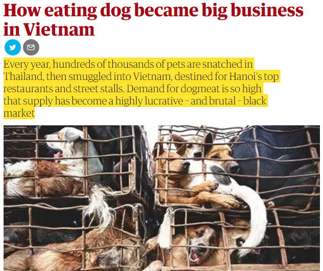 Góc nhìn thú vị của nhiều báo lớn quốc tế về vấn đề ăn thịt chó tại Việt Nam - Ảnh 1.