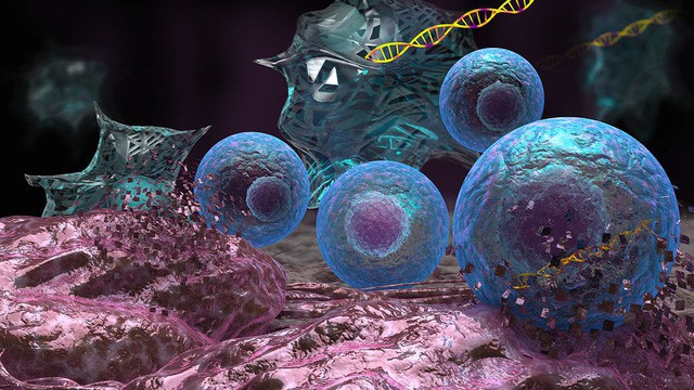 Kỹ thuật chỉnh sửa gen CRISPR sẽ khiến tế bào ung thư không còn bất tử - Ảnh 2.