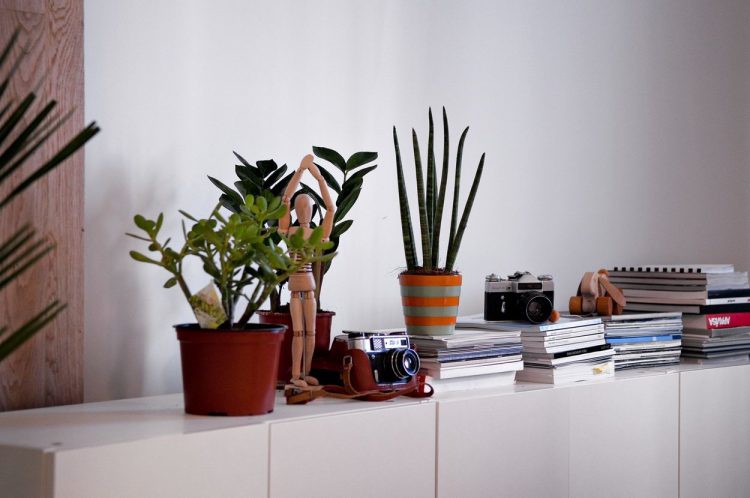 Căn hộ nhỏ xinh, độc đáo này khiến các hộ gia đình trẻ phát thèm - Ảnh 5. Căn hộ nhỏ xinh, độc đáo này khiến các hộ gia đình trẻ phát thèm - Ảnh 5.