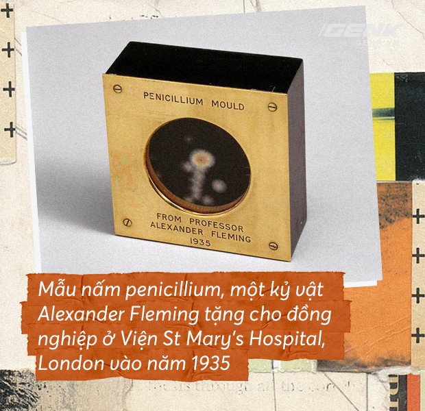 Ngày này đúng 90 năm về trước: có phải Alexander Fleming đã mở ra kỷ nguyên kháng sinh? - Ảnh 1.