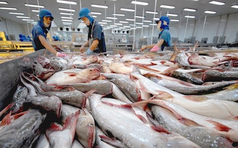 Mỹ -Trung xung đột thương mại, cá tra Việt Nam hưởng lợi cả hai thị trường - Ảnh 1.