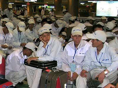 Hơn 1.500 lao động EPS cư trú bất hợp pháp tại Hàn Quốc đã về nước - Ảnh 1.