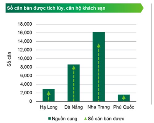 Cảnh báo tranh chấp phân khúc condotel, Thái Lan và Úc từng xảy ra rất nhiều - Ảnh 1.