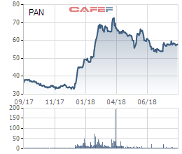 PAN Group thông qua phương án phát hành 1.135 tỷ đồng trái phiếu không chuyển đổi - Ảnh 1.