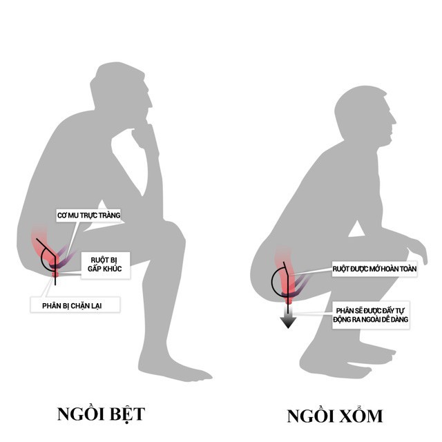 Dậy sớm có thể kéo dài tuổi thọ: 4 việc làm vào buổi sáng giúp lọc sạch gan, bảo vệ cơ thể - Ảnh 3.