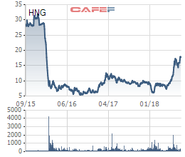 HAGL Agrico chào bán riêng lẻ hơn 87 triệu cổ phiếu với giá 16.000 đồng/cp - Ảnh 1.