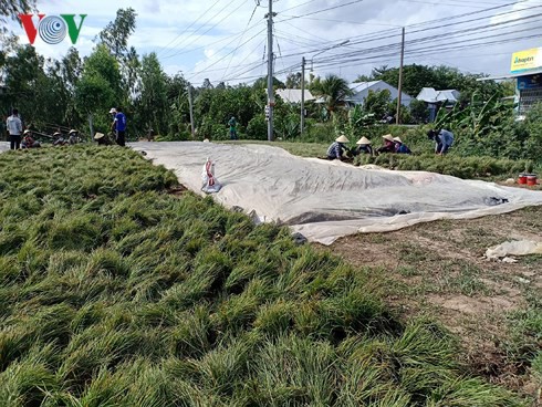 Mùa kiệu buồn trong vòng xoáy “cung vượt cầu“ - Ảnh 1.