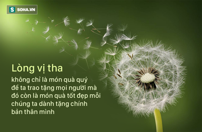 3 việc quyết định chữ vượng của đời người, hãy xem bạn đã làm được bao nhiêu trong số đó - Ảnh 2. 3 việc quyết định chữ vượng của đời người, hãy xem bạn đã làm được bao nhiêu trong số đó - Ảnh 2.