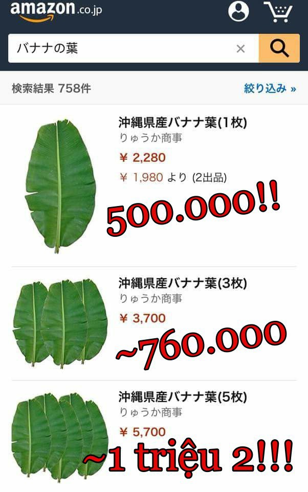 Lá chuối tươi đăng bán trên Amazon gần 500 nghìn 1 lá, mua 5 lá giảm giá còn 1 triệu 2 - Ảnh 2.