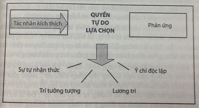 Đây là bí mật của những người lúc nào cũng vui vẻ, hạnh phúc trong cuộc sống thay vì tôi buồn không hiểu vì sao tôi buồn - Ảnh 1.