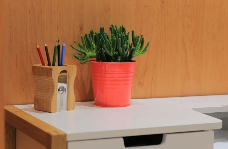 Nội thất gỗ được sử dụng khá nhiều trong nhà mang đến không gian thân thiện mà ấm cúng.