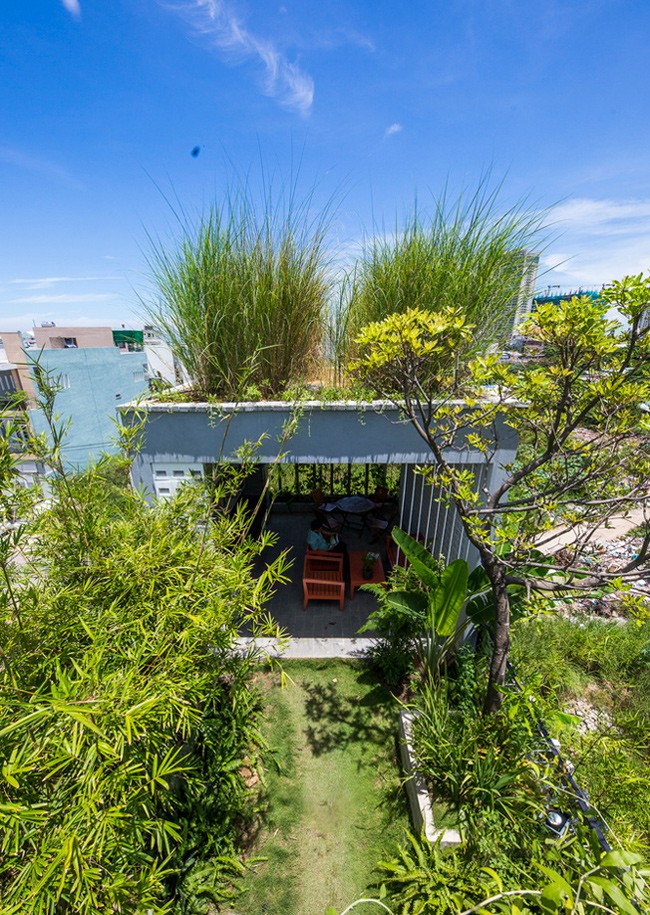 Hàng vạn dân văn phòng sẽ mơ ước được làm cho việc trong resort ngập cây xanh này - Ảnh 17. Hàng vạn dân văn phòng sẽ mơ ước được làm cho việc trong resort ngập cây xanh này - Ảnh 17.