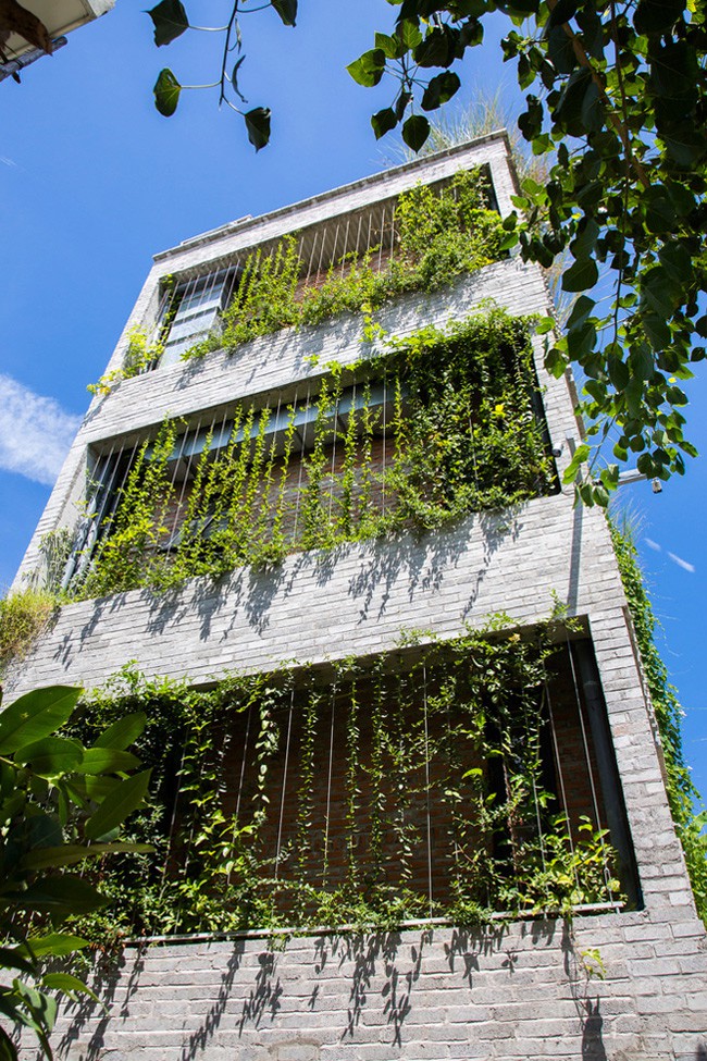 Hàng vạn dân văn phòng sẽ mơ ước được khiến cho việc trong resort ngập cây xanh này - Ảnh 3. Hàng vạn dân văn phòng sẽ mơ ước được làm việc trong resort ngập cây xanh này - Ảnh 3.