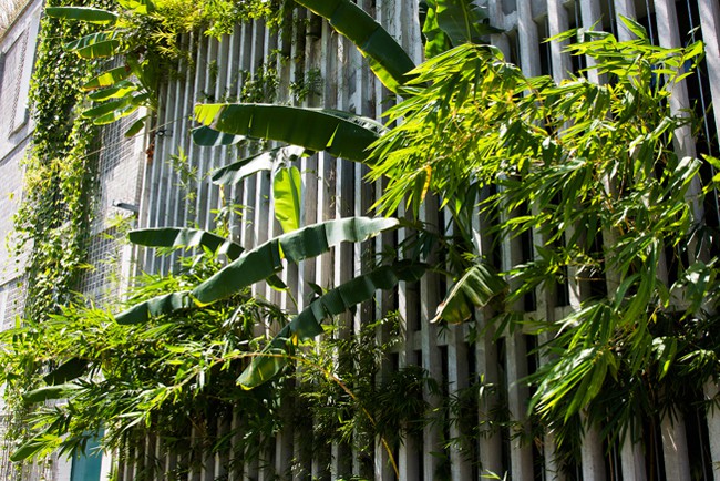 Hàng vạn dân văn phòng sẽ mơ ước được làm cho việc trong resort ngập cây xanh này - Ảnh 5. Hàng vạn dân văn phòng sẽ mơ ước được làm việc trong resort ngập cây xanh này - Ảnh 5.