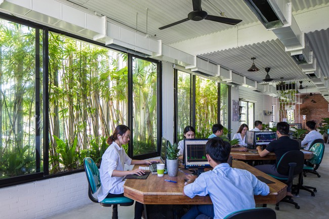 Hàng vạn dân văn phòng sẽ mơ ước được khiến cho việc trong resort ngập cây xanh này - Ảnh 9. Hàng vạn dân văn phòng sẽ mơ ước được làm việc trong resort ngập cây xanh này - Ảnh 9.
