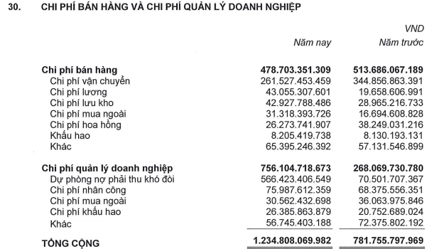 Thủy sản Hùng Vương (HVG) lỗ thêm 642 tỷ đồng sau kiểm toán năm tài chính 2016-2017; Nợ ngắn hạn vượt quá tài sản ngắn hạn - Ảnh 3.