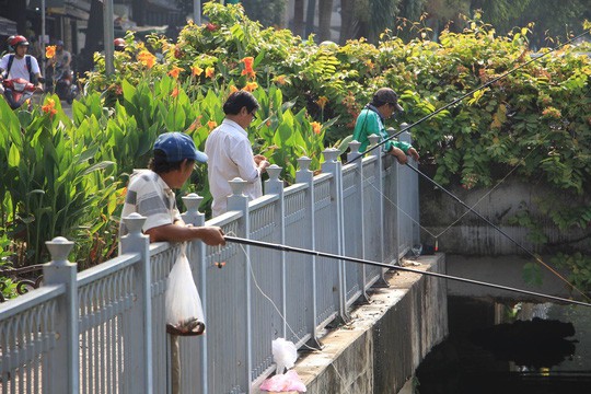 Ngậm ngùi nhìn cá chép tiễn ông Táo bị vớt trước mặt - Ảnh 3.