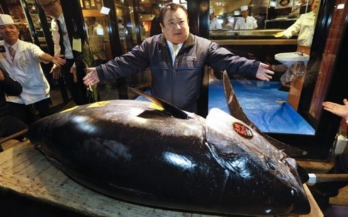 Cá ngừ vây xanh khổng lồ được đấu giá hơn 3 triệu USD tại Nhật Bản - Ảnh 1.