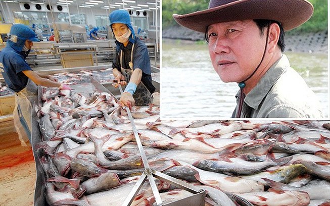 Dù lãi 7 tỷ trong quý 2, Hùng Vương sau 