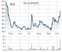 Mía đường Sơn La (SLS) báo lãi ròng quý 1 giảm sút 36% so với cùng kỳ - Ảnh 2.