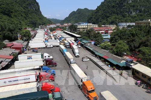 Trung Quốc thay đổi, 500 xe container nông sản tắc cứng ở Tân Thanh - Ảnh 1.