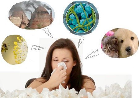 Phân biệt bệnh viêm mũi dị ứng và viêm mũi thông thường - 2 bệnh nhiều người mắc khi thời điểm giao mùa - Ảnh 1.