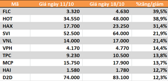 10 cổ phiếu tăng/giảm mạnh nhất tuần: Tâm điểm nhóm vừa và nhỏ - Ảnh 1.