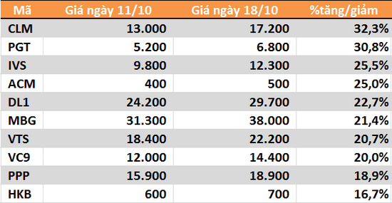 10 cổ phiếu tăng/giảm mạnh nhất tuần: Tâm điểm nhóm vừa và nhỏ - Ảnh 3.