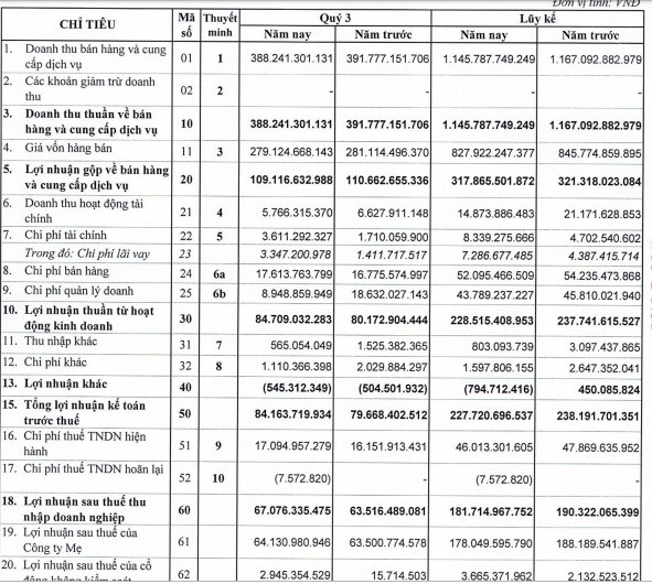 Hóa chất cơ bản Miền Nam (CSV): 9 tháng lãi trước thuế 228 tỷ đồng, hoàn thành 78% kế hoạch năm - Ảnh 1.