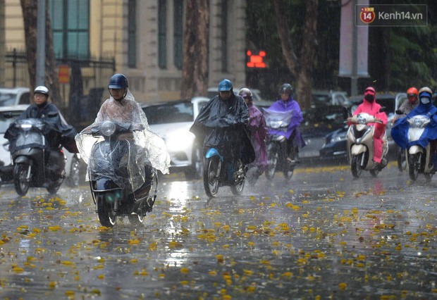 Chùm ảnh: Hà Nội đón cơn mưa rào sau nhiều ngày hanh khô, chỉ số chất lượng không khí được cải thiện - Ảnh 2.
