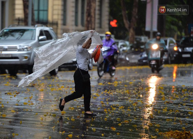 Chùm ảnh: Hà Nội đón cơn mưa rào sau nhiều ngày hanh khô, chỉ số chất lượng không khí được cải thiện - Ảnh 5.