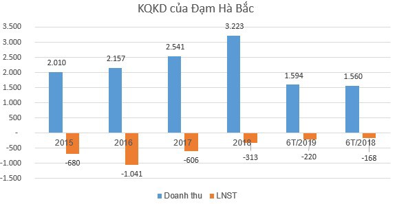 Đạm Hà Bắc (DHB) có CEO mới trong bối cảnh thua lỗ triền miên, âm vốn chủ - Ảnh 1.