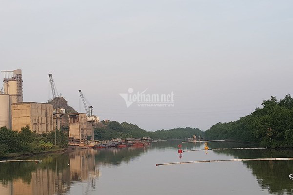 Bục đường ống Xi măng Chinfon Hải Phòng, dầu tràn ra sông - Ảnh 12.