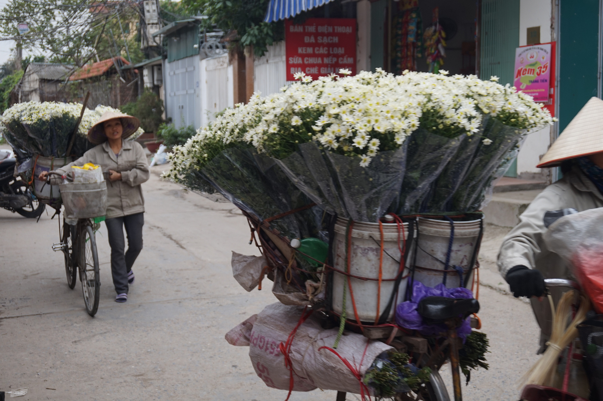 Bó hoa cúc họa mi Tình Yêu Bé Nhỏ