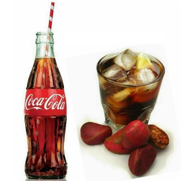 Vì sao Coca-Cola ra đời trước nhưng lại không thể kiện Pepsi tội ăn cắp sáng chế còn Pepsi lại không thể cáo buộc Coca-Cola vi phạm bản quyền? - Ảnh 6.