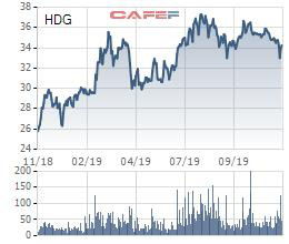 Tập đoàn Hà Đô (HDG) chuẩn bị trả cổ tức bằng tiền tỷ lệ 10% - Ảnh 1.