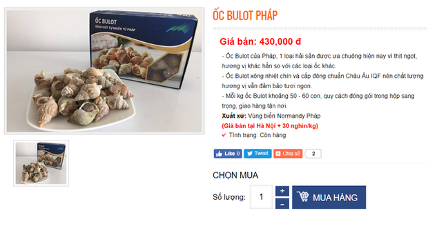 Ốc Bulot Pháp: Từng chả ai ăn, dùng làm mồi cho cá đến chỗ trở thành thực phẩm đắt cả nửa triệu bạc vẫn hết hàng - Ảnh 3.